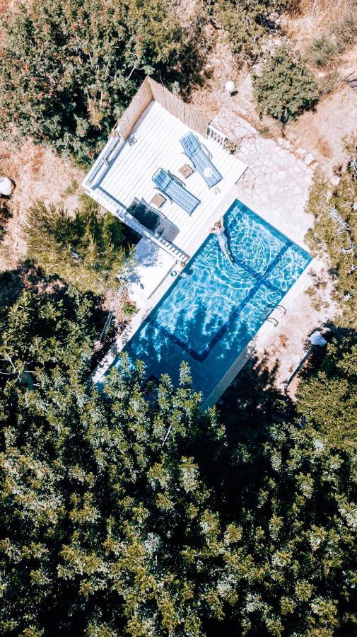 Jasmin Suite סוויטת יסמין Amirim Exteriér fotografie